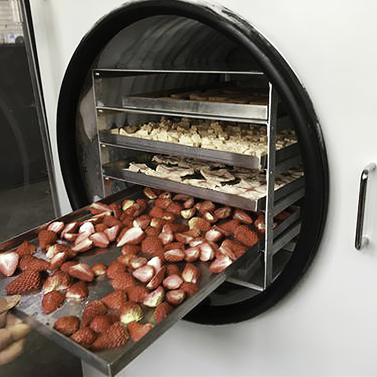 草莓凍干機(jī)