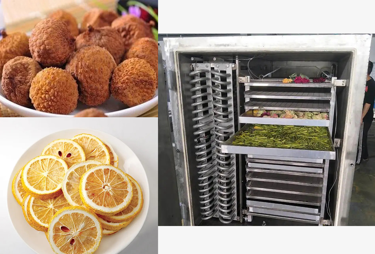 水果凍干機