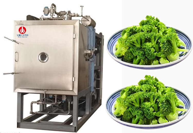 果蔬食品凍干機 果蔬食品凍干機